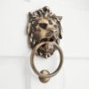 Signature Hardware 9-3/4" X 5-1/8" Large Solid Brass Lion Door Knocker Antique Brass -Cabinet Hardware Store signature hardware 426238 1364100